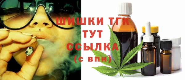 крисы Армянск