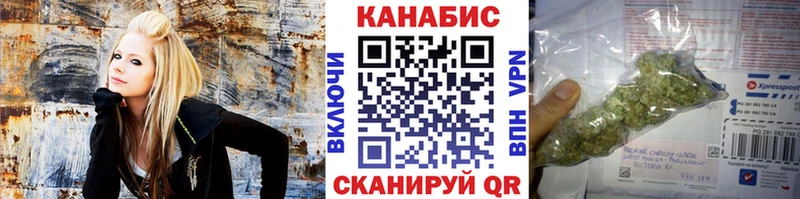 наркотики  Севск  Бошки Шишки конопля 